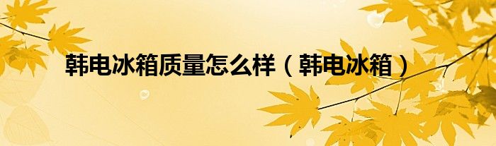 韩电冰箱质量怎么样（韩电冰箱）