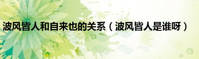 波风皆人和自来也的关系（波风皆人是谁呀）