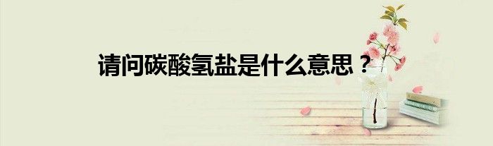 请问碳酸氢盐是什么意思？