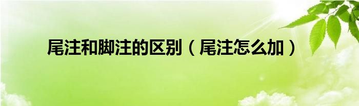 尾注和脚注的区别（尾注怎么加）