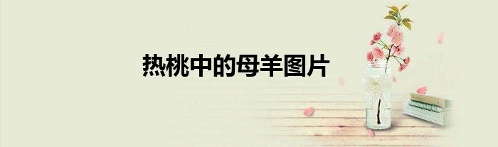 热桃中的母羊图片