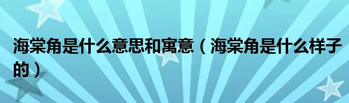 海棠角是什么意思和寓意（海棠角是什么样子的）