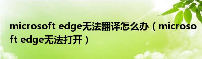 microsoft edge无法翻译怎么办（microsoft edge无法打开）