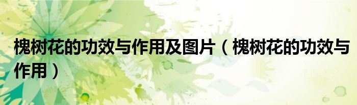 槐树花的功效与作用及图片（槐树花的功效与作用）