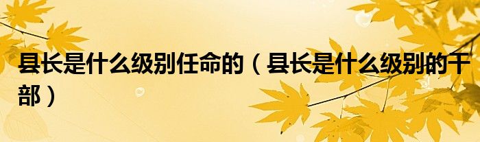县长是什么级别任命的（县长是什么级别的干部）