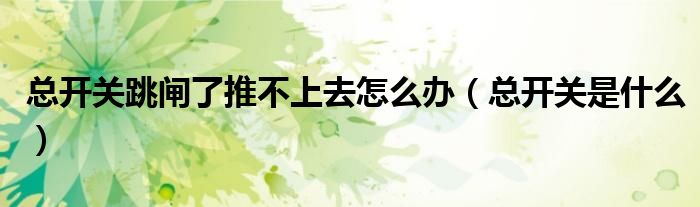 总开关跳闸了推不上去怎么办（总开关是什么）