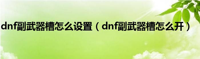 dnf副武器槽怎么设置（dnf副武器槽怎么开）
