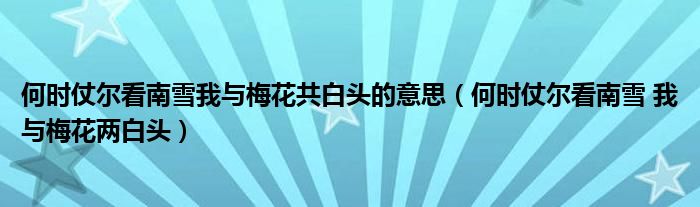何时仗尔看南雪我与梅花共白头的意思（何时仗尔看南雪 我与梅花两白头）