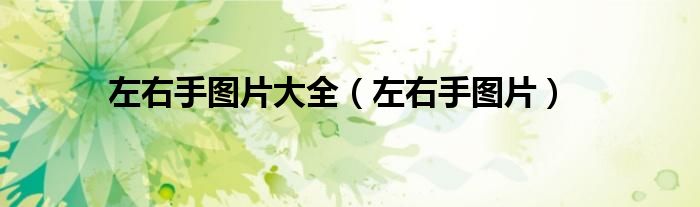 左右手图片大全（左右手图片）