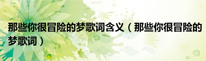 那些你很冒险的梦歌词含义（那些你很冒险的梦歌词）