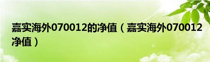 嘉实海外070012的净值（嘉实海外070012净值）