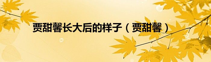 贾甜馨长大后的样子（贾甜馨）