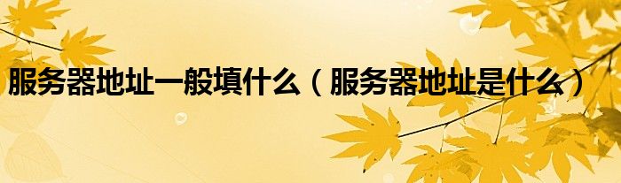 服务器地址一般填什么（服务器地址是什么）