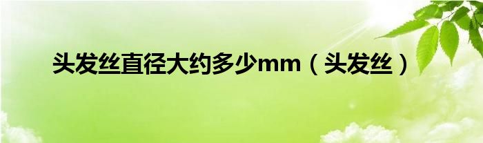 头发丝直径大约多少mm（头发丝）