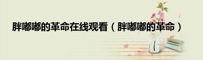 胖嘟嘟的革命在线观看（胖嘟嘟的革命）