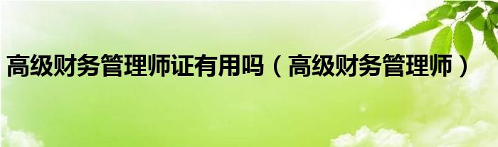 高级财务管理师证有用吗（高级财务管理师）