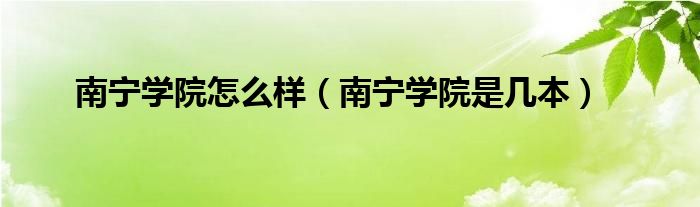 南宁学院怎么样（南宁学院是几本）