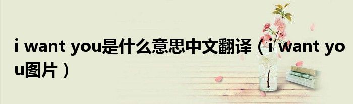 i want you是什么意思中文翻译（i want you图片）