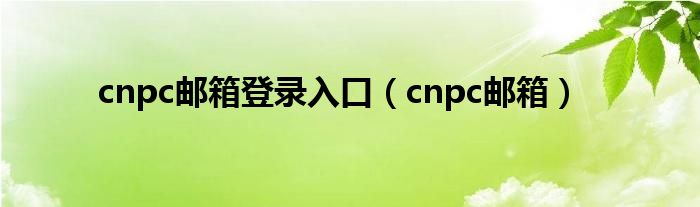 cnpc邮箱登录入口（cnpc邮箱）