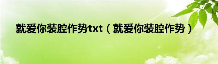 就爱你装腔作势txt（就爱你装腔作势）