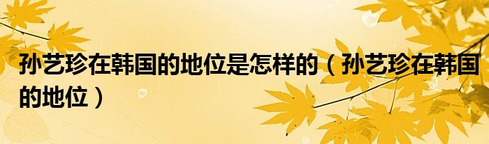 孙艺珍在韩国的地位是怎样的（孙艺珍在韩国的地位）