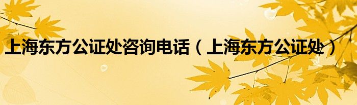 上海东方公证处咨询电话（上海东方公证处）
