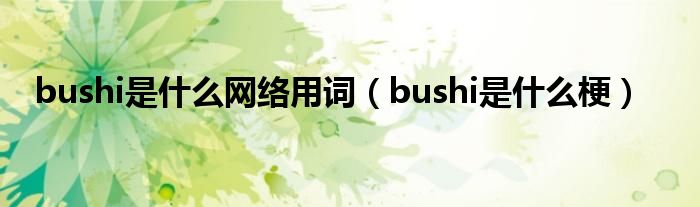 bushi是什么网络用词（bushi是什么梗）