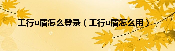 工行u盾怎么登录（工行u盾怎么用）