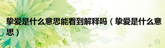 挚爱是什么意思能看到解释吗（挚爱是什么意思）