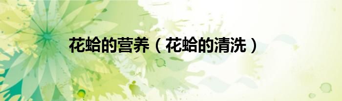花蛤的营养（花蛤的清洗）
