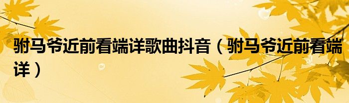 驸马爷近前看端详歌曲抖音（驸马爷近前看端详）