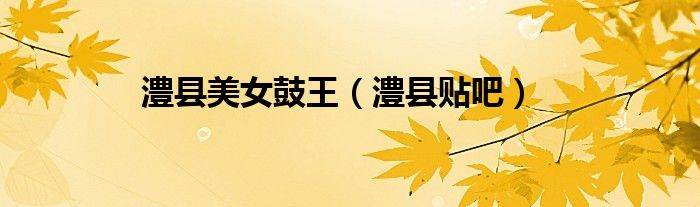 澧县美女鼓王（澧县贴吧）