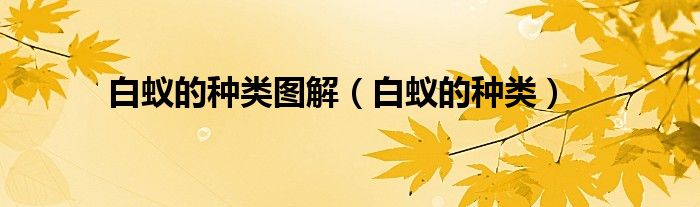 白蚁的种类图解（白蚁的种类）