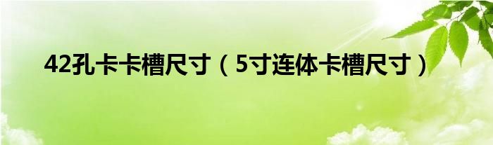 42孔卡卡槽尺寸（5寸连体卡槽尺寸）
