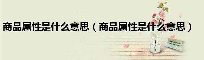 商品属性是什么意思(商品属性是什么意思)