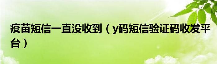疫苗短信一直没收到（y码短信验证码收发平台）