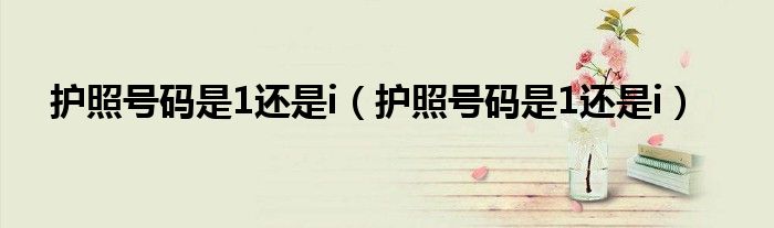 护照号码是1还是i（护照号码是1还是i）