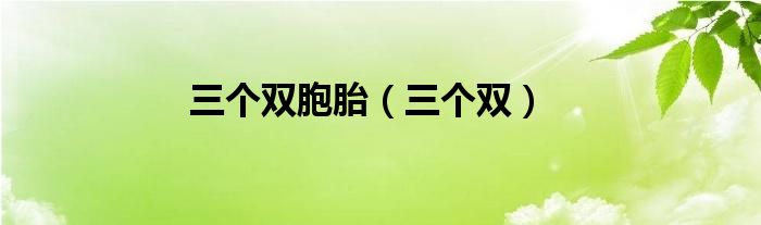 三个双胞胎（三个双）