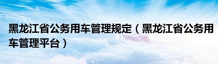 黑龙江省公务用车管理规定（黑龙江省公务用车管理平台）