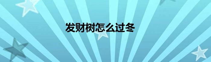 发财树怎么过冬