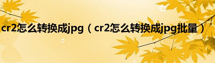 cr2怎么转换成jpg（cr2怎么转换成jpg批量）