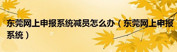 东莞网上申报系统减员怎么办（东莞网上申报系统）