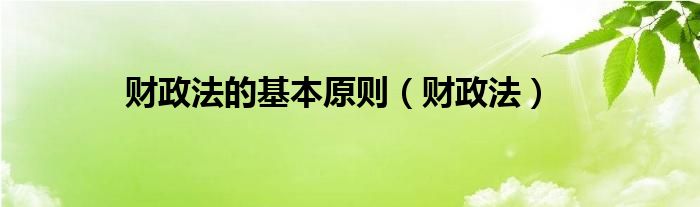 财政法的基本原则（财政法）