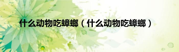 什么动物吃蟑螂（什么动物吃蟑螂）