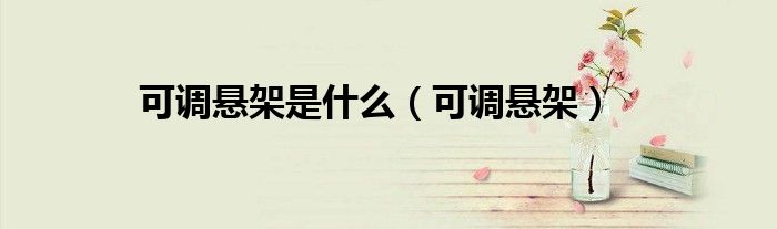 可调悬架是什么（可调悬架）