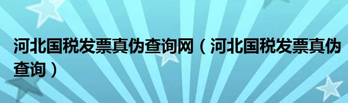 河北国税发票真伪查询网（河北国税发票真伪查询）
