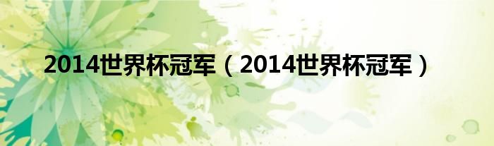2014世界杯冠军（2014世界杯冠军）