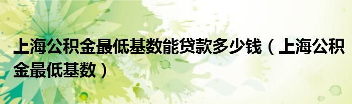 上海公积金最低基数能贷款多少钱（上海公积金最低基数）