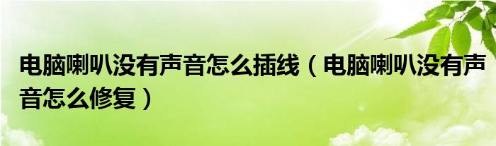 电脑喇叭没有声音怎么插线（电脑喇叭没有声音怎么修复）
