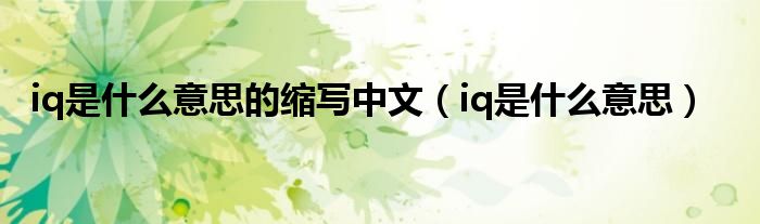 iq是什么意思的缩写中文（iq是什么意思）